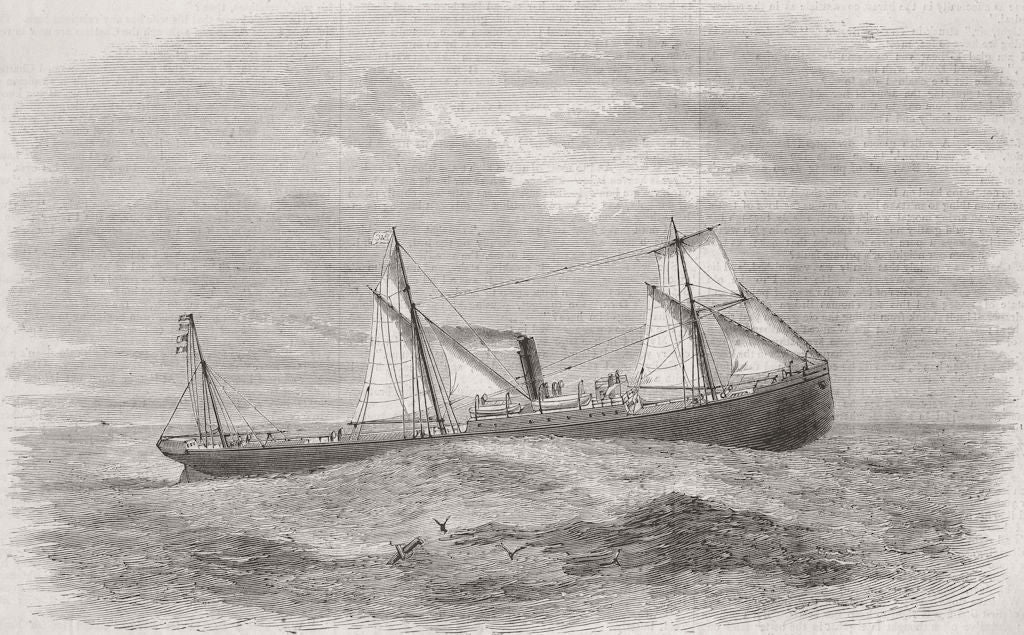 BOATS. Praetoria, new cargo-carrying ship 1877 old antique print picture